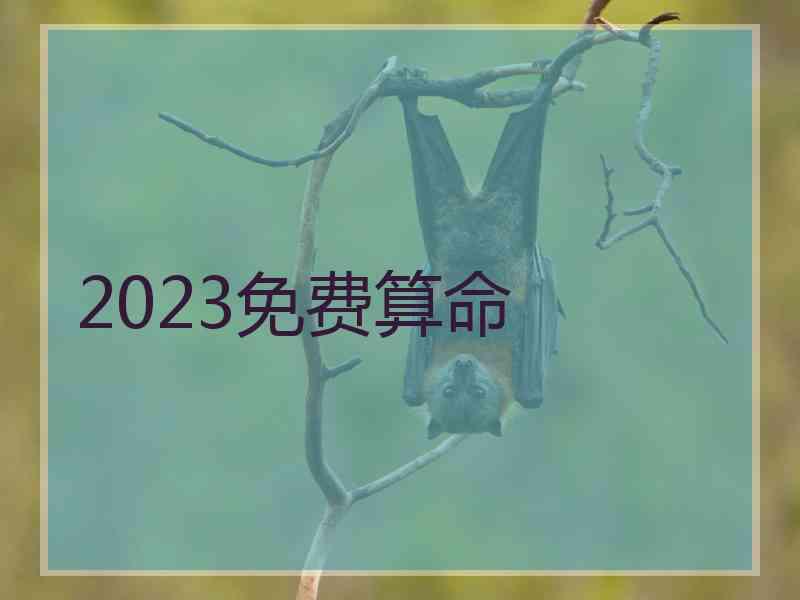 2023免费算命