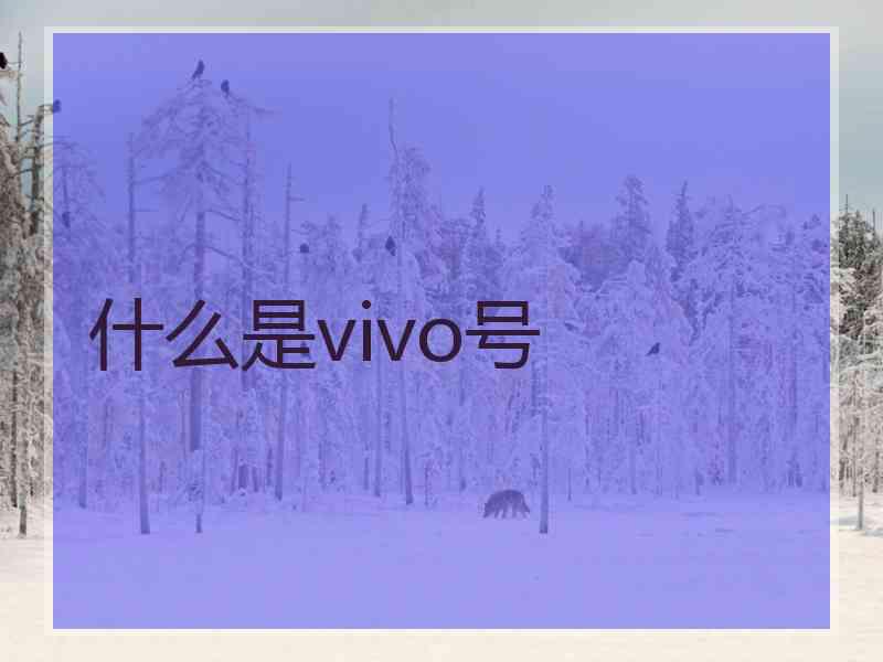 什么是vivo号