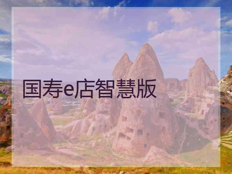 国寿e店智慧版