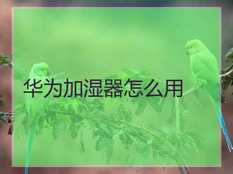 华为加湿器怎么用