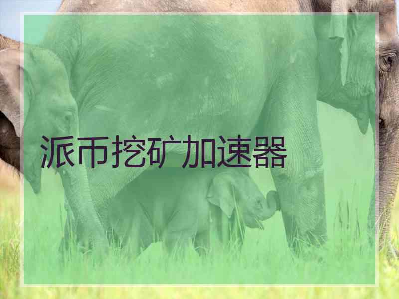 派币挖矿加速器