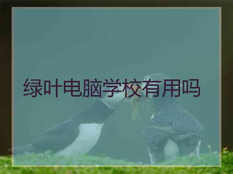 绿叶电脑学校有用吗