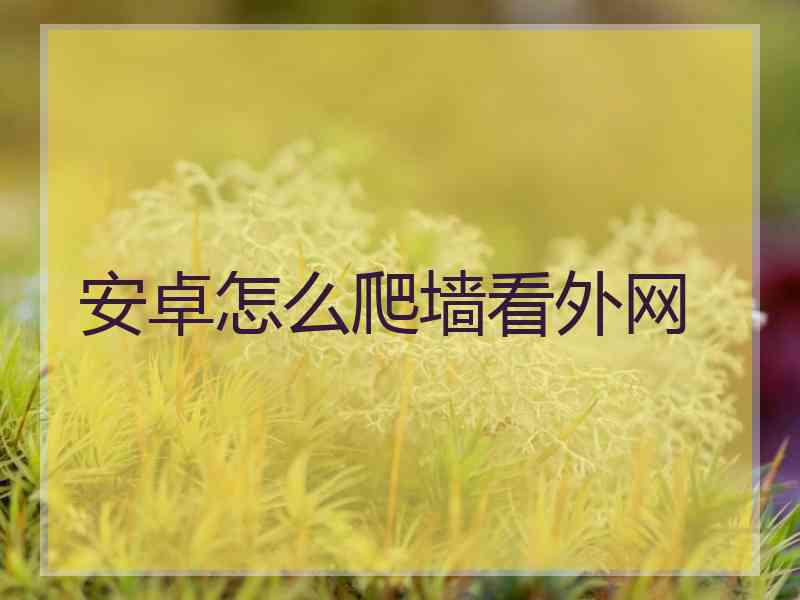 安卓怎么爬墙看外网