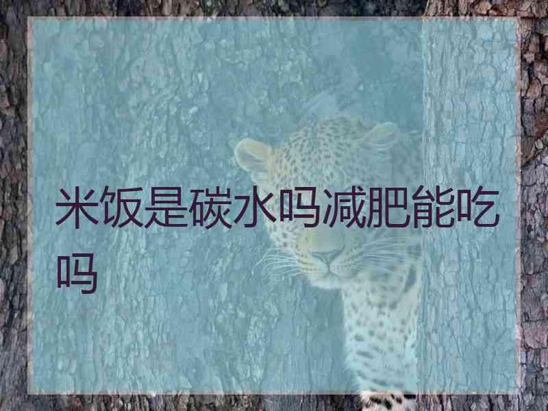 米饭是碳水吗减肥能吃吗