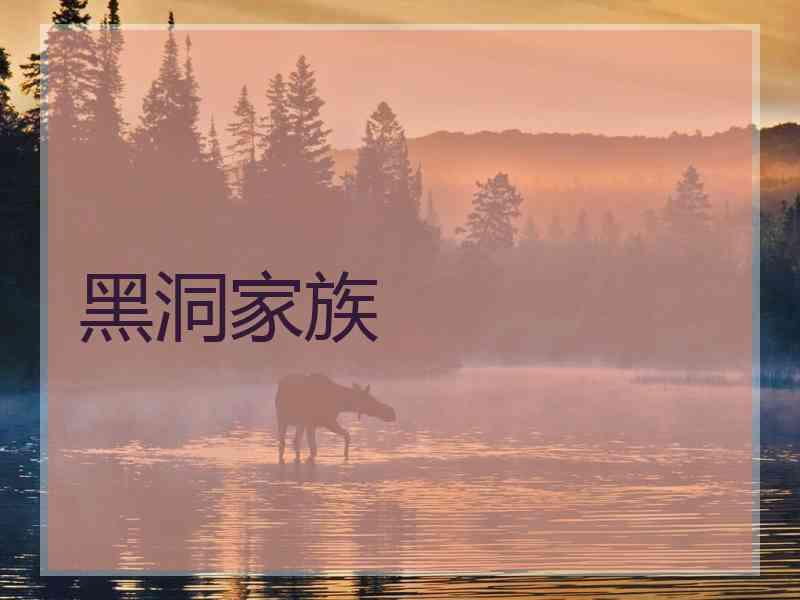 黑洞家族