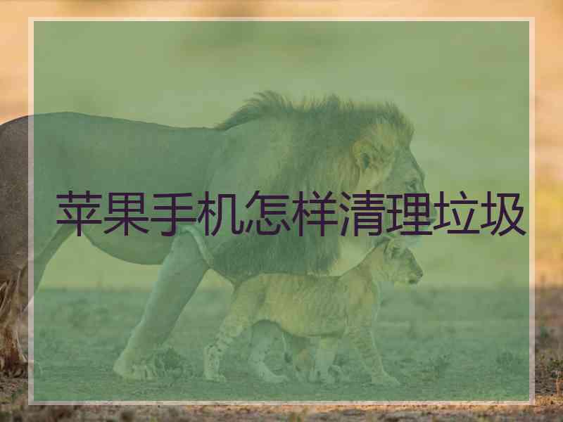苹果手机怎样清理垃圾