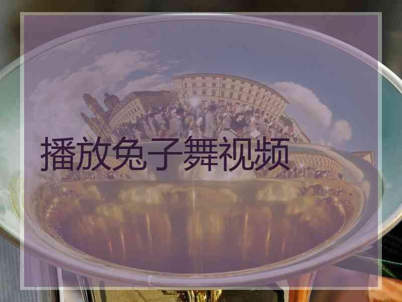 播放兔子舞视频
