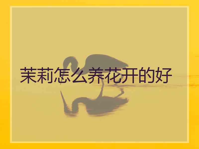 茉莉怎么养花开的好