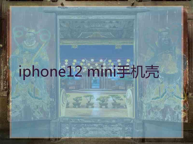 iphone12 mini手机壳