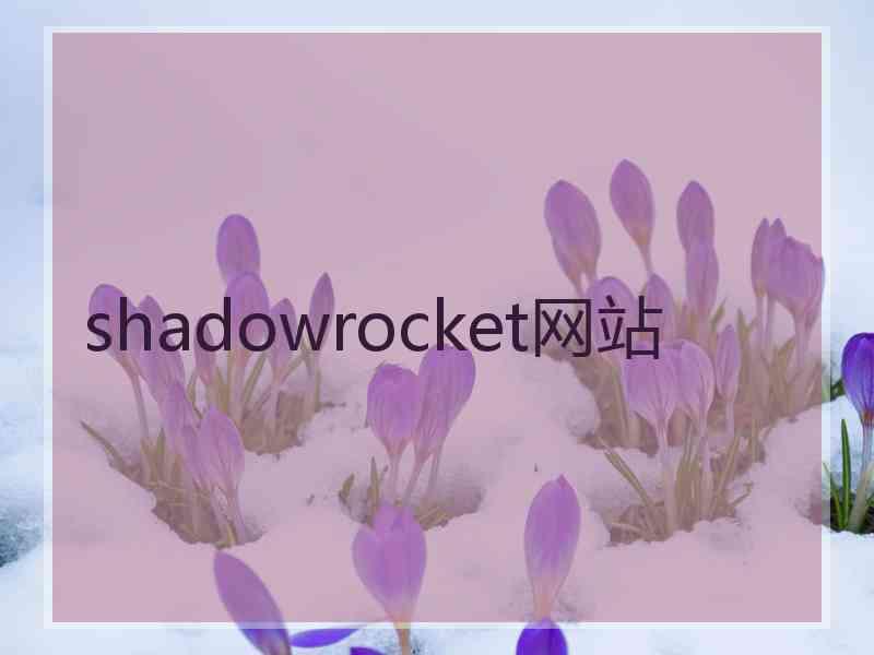 shadowrocket网站
