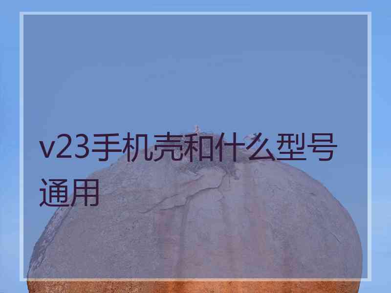 v23手机壳和什么型号通用