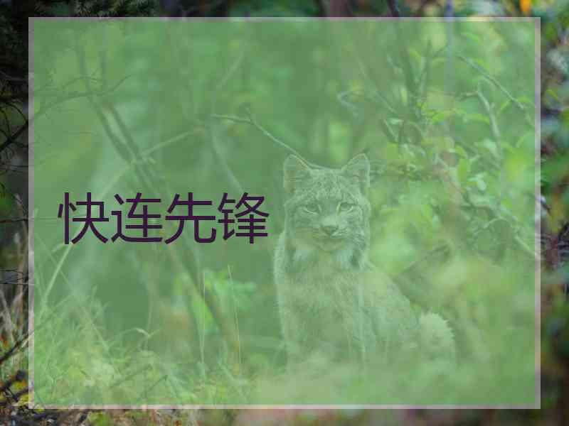 快连先锋