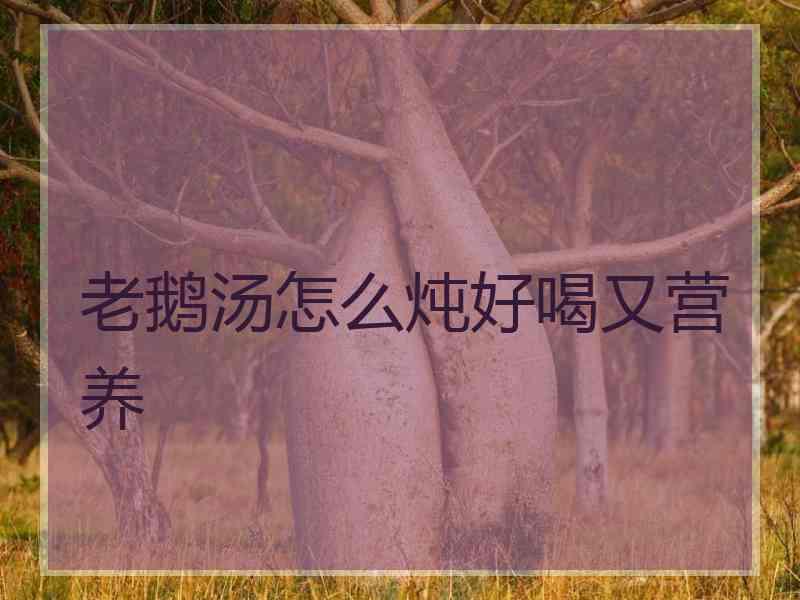 老鹅汤怎么炖好喝又营养
