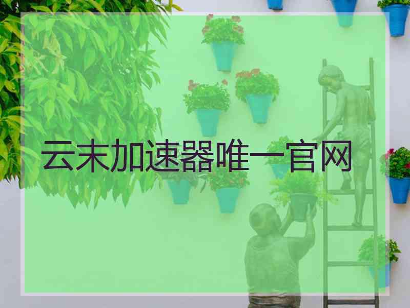 云末加速器唯一官网