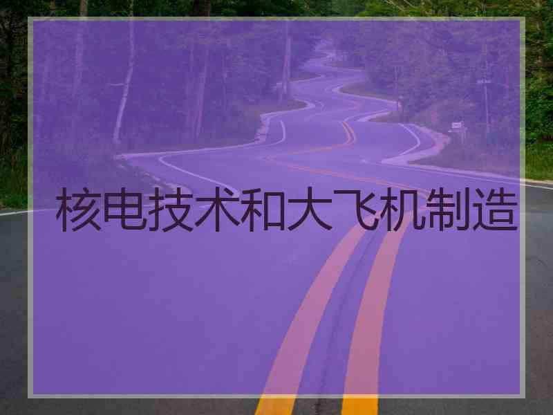 核电技术和大飞机制造