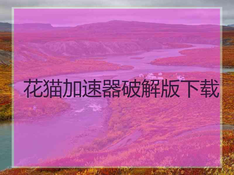花猫加速器破解版下载