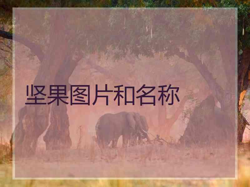 坚果图片和名称