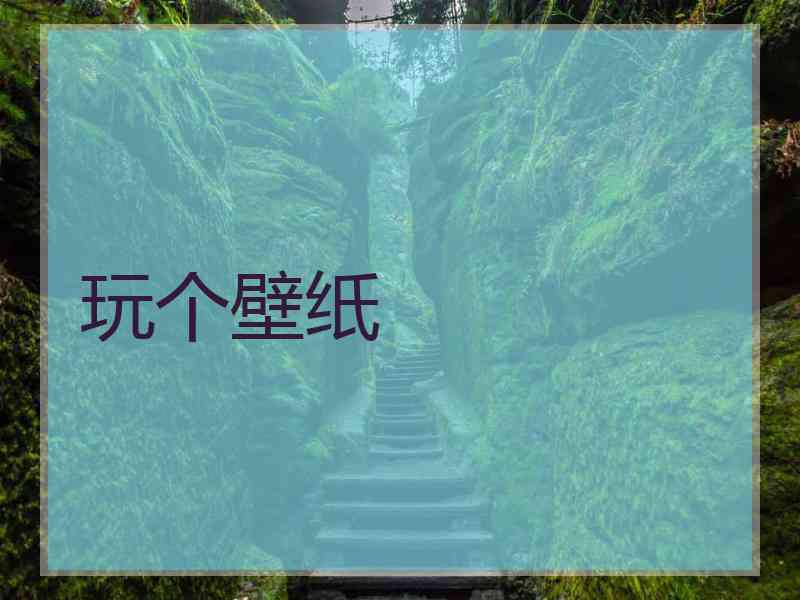 玩个壁纸