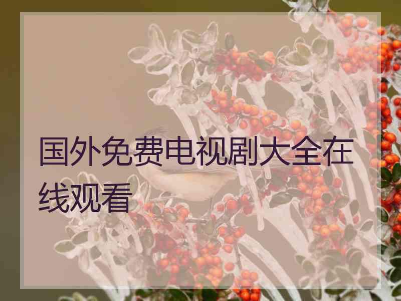 国外免费电视剧大全在线观看