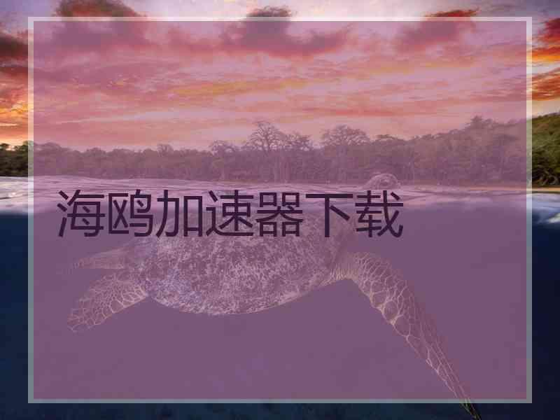 海鸥加速器下载