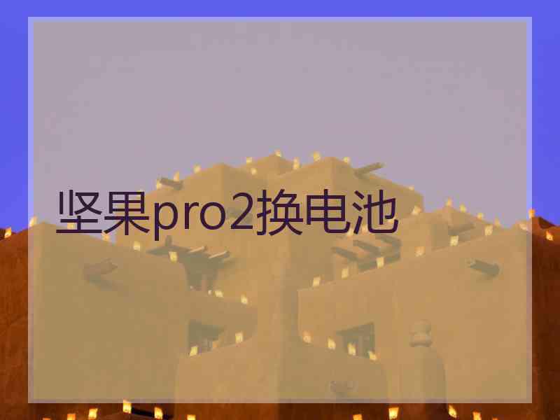 坚果pro2换电池