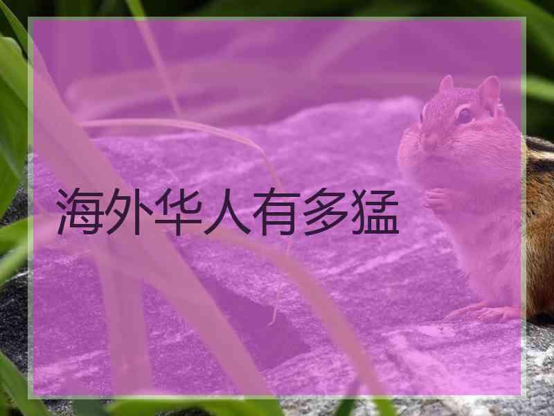 海外华人有多猛