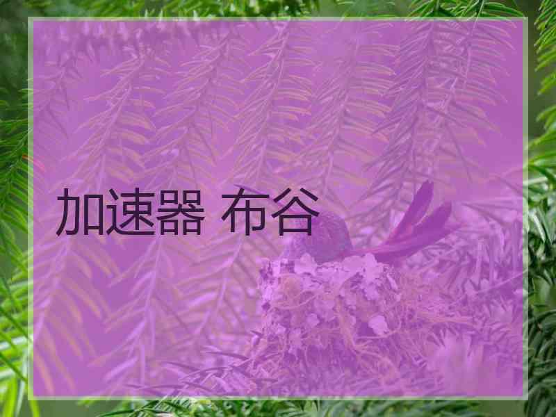 加速器 布谷