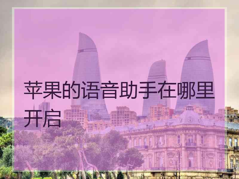 苹果的语音助手在哪里开启