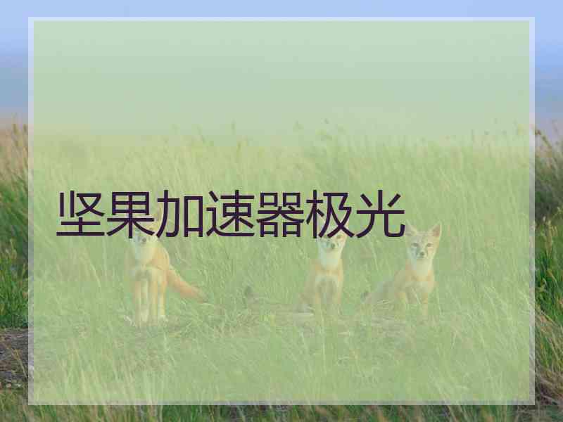 坚果加速器极光