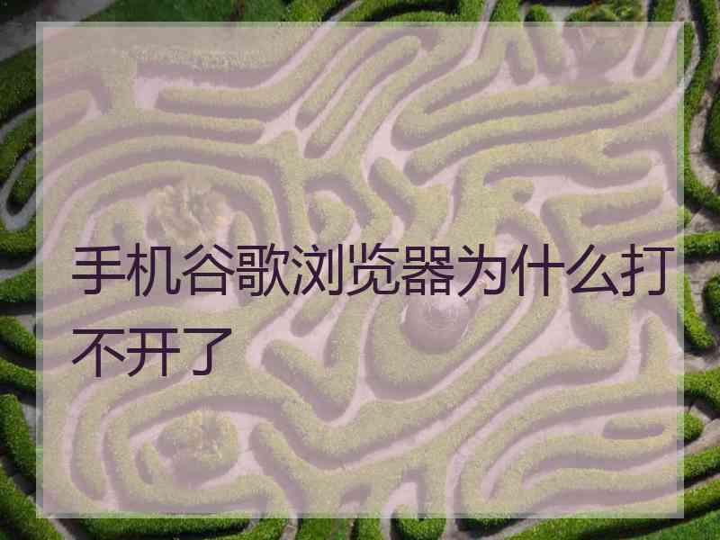 手机谷歌浏览器为什么打不开了