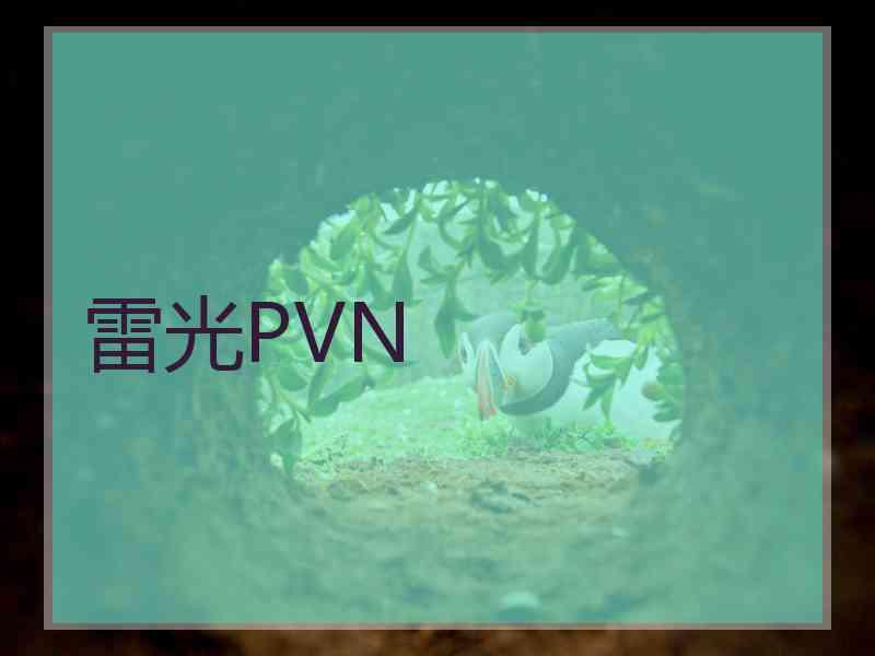 雷光PVN