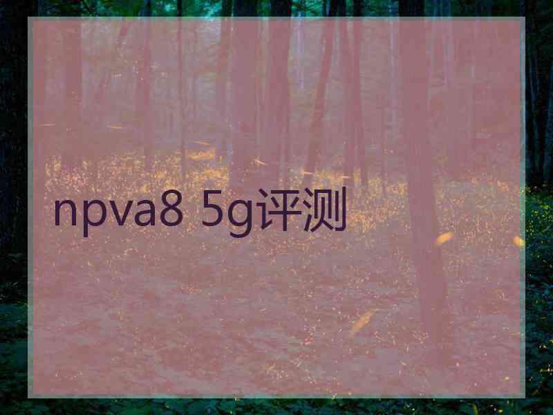 npva8 5g评测