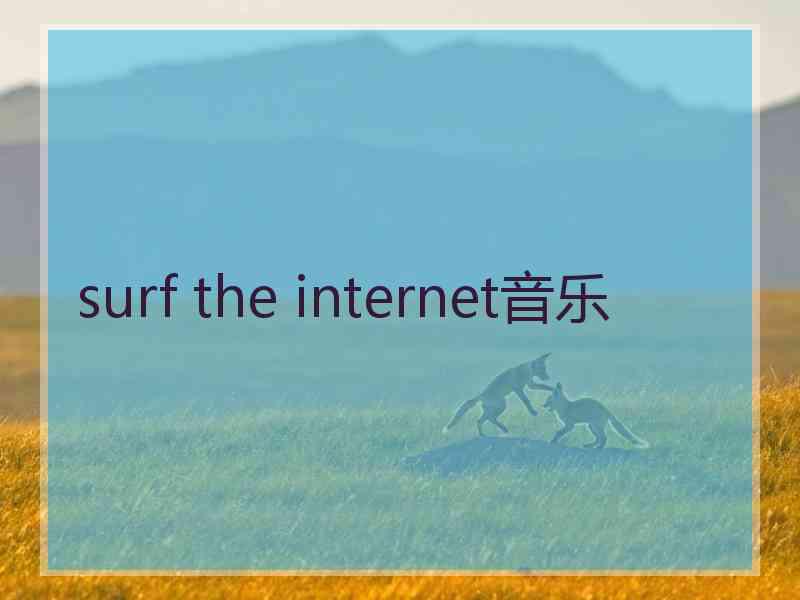 surf the internet音乐