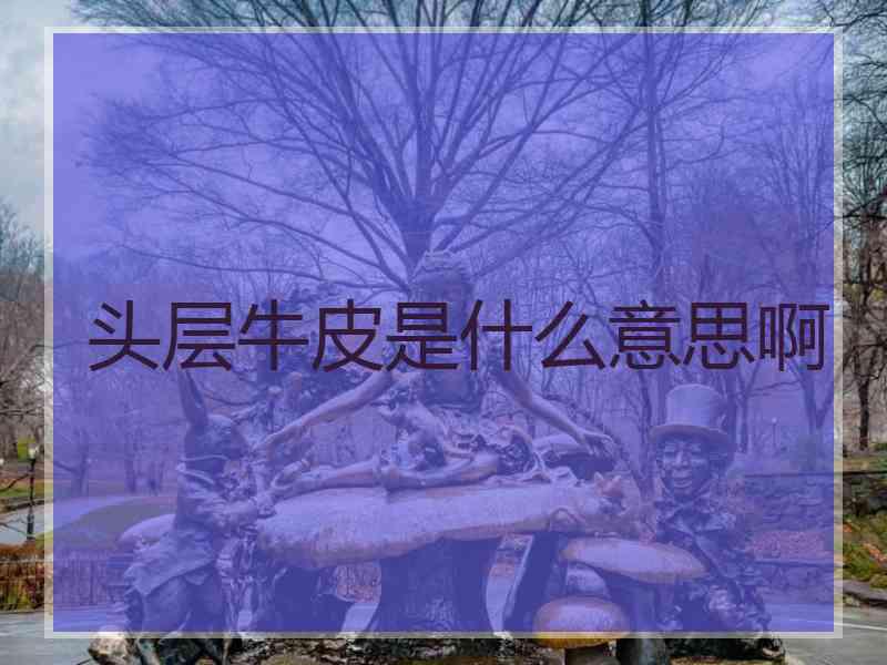 头层牛皮是什么意思啊