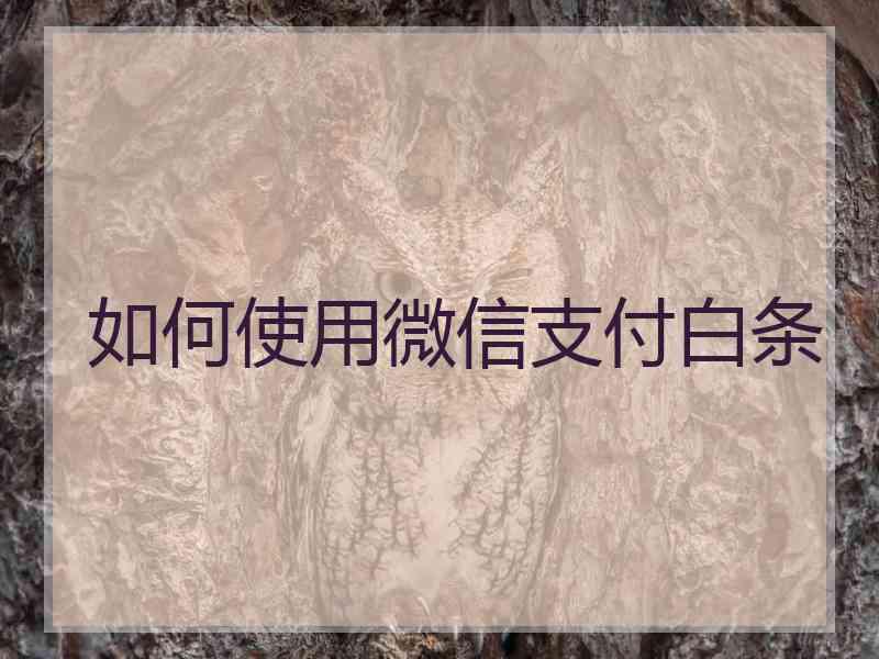 如何使用微信支付白条