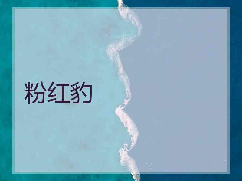 粉红豹