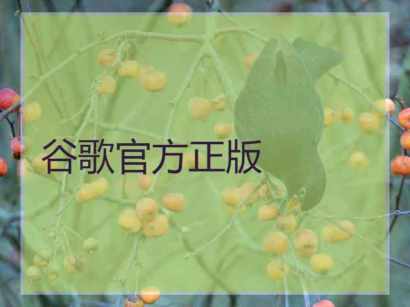 谷歌官方正版