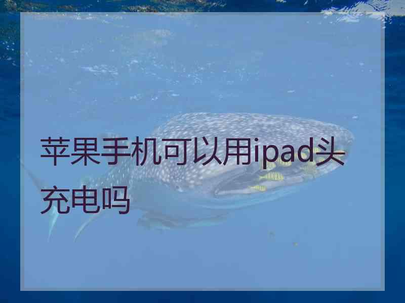 苹果手机可以用ipad头充电吗