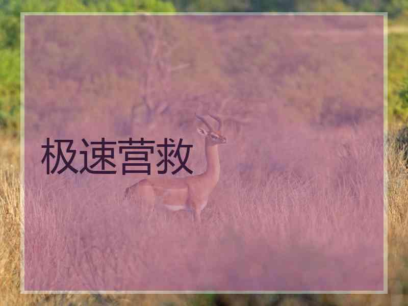 极速营救