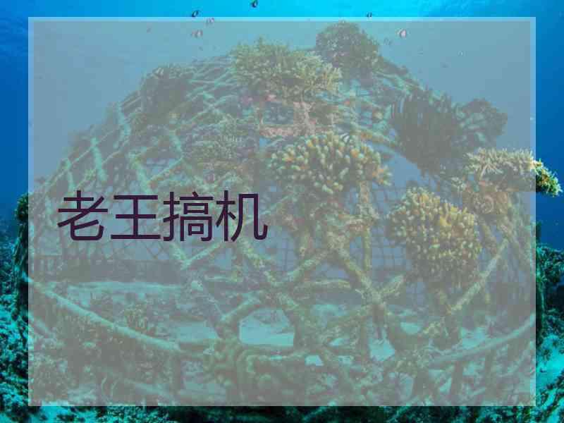 老王搞机