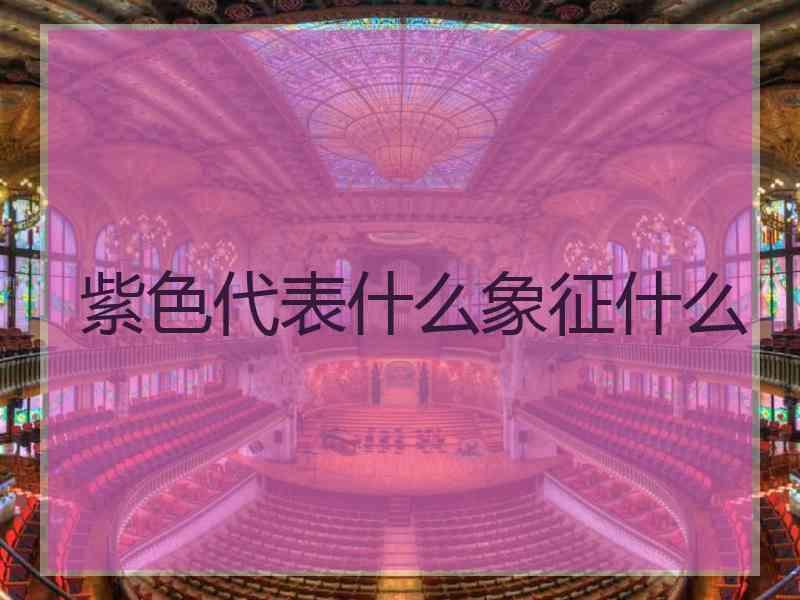 紫色代表什么象征什么