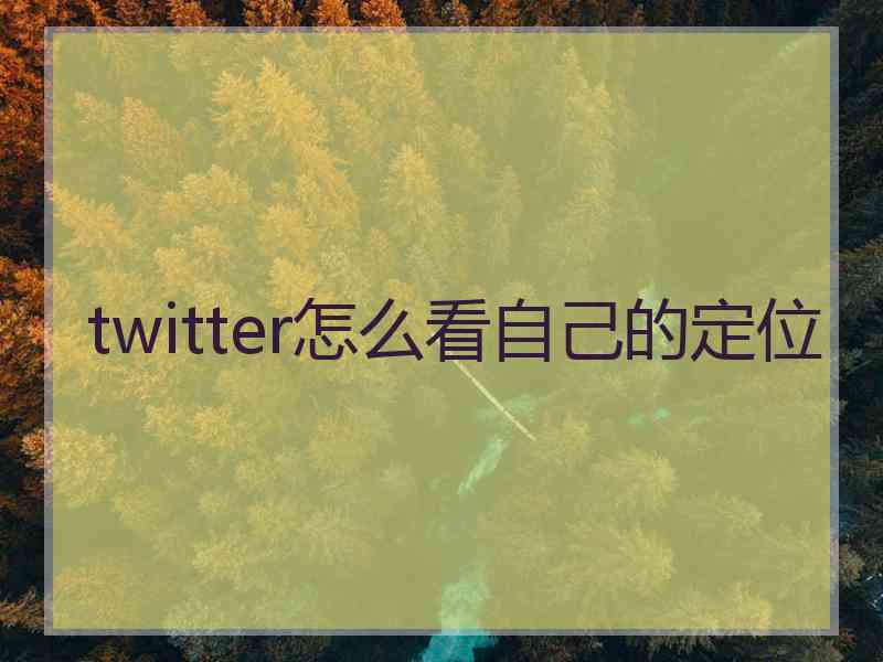 twitter怎么看自己的定位