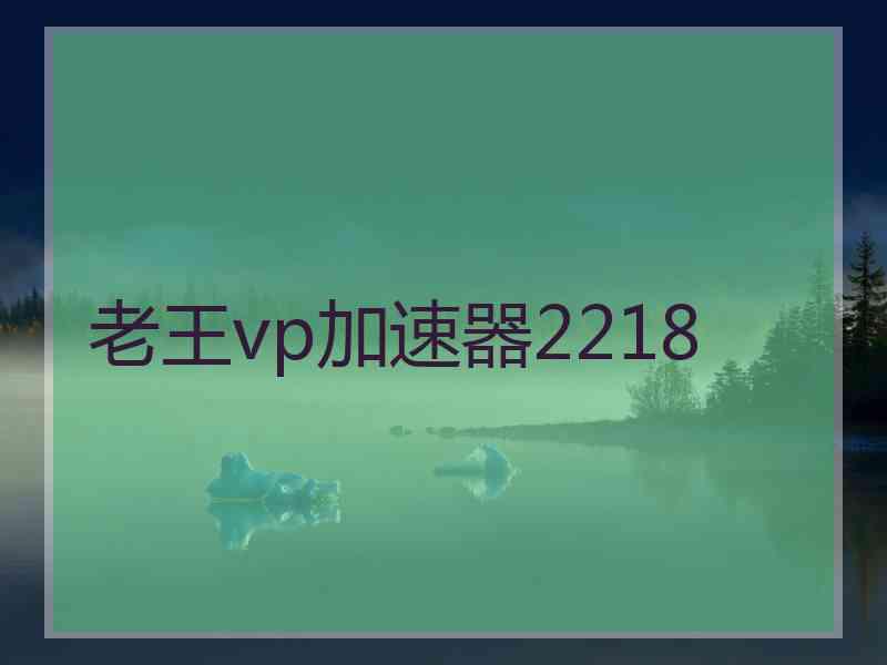 老王vp加速器2218