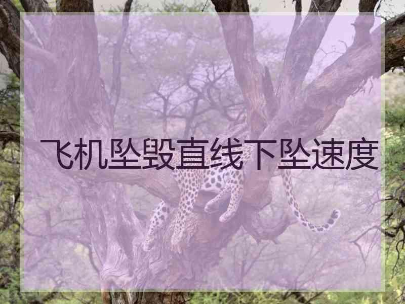 飞机坠毁直线下坠速度