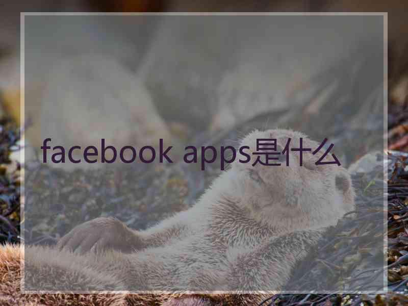 facebook apps是什么