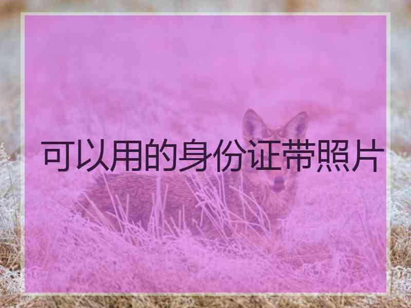 可以用的身份证带照片