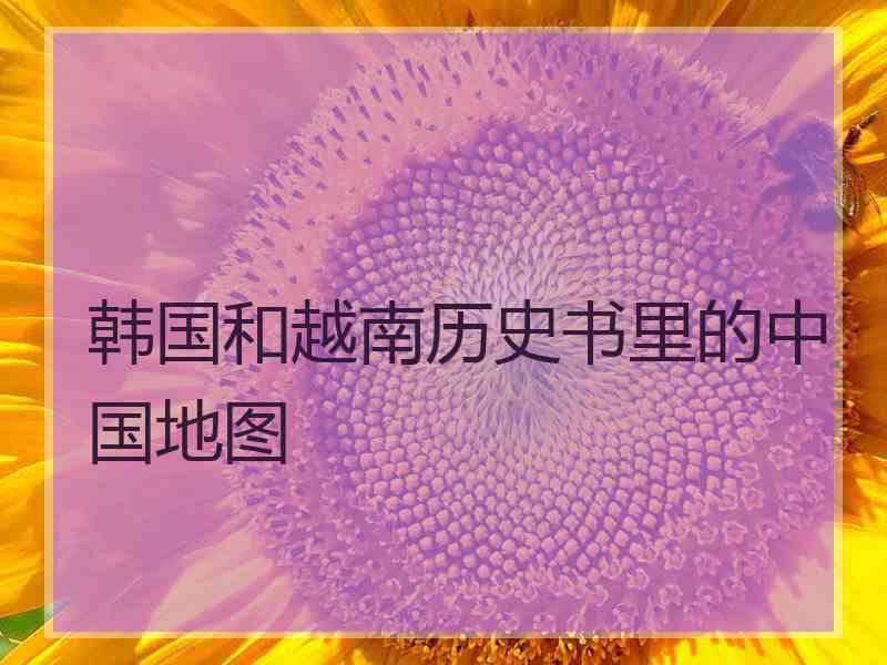 韩国和越南历史书里的中国地图