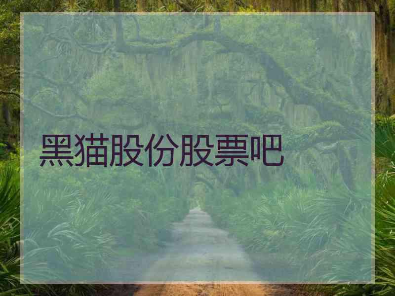 黑猫股份股票吧