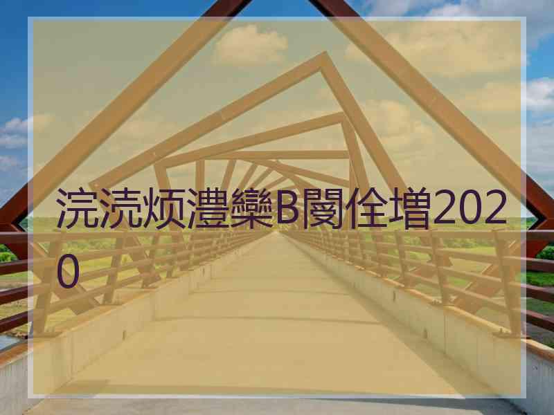 浣涜烦澧欒В閿佺増2020