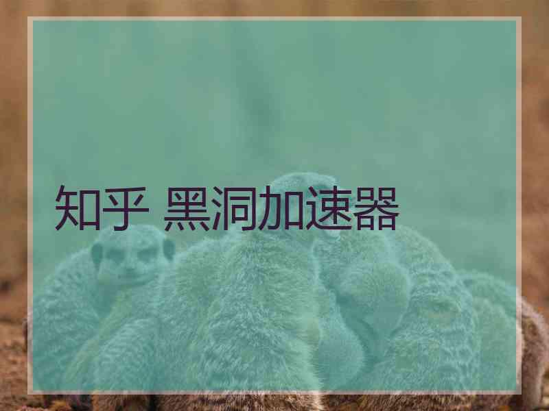 知乎 黑洞加速器